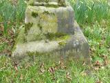 image of grave number 192312